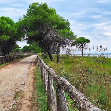Welcoming Flat For 6 Guests Next To The Beach Μπιμπιόνε Εξωτερικό φωτογραφία
