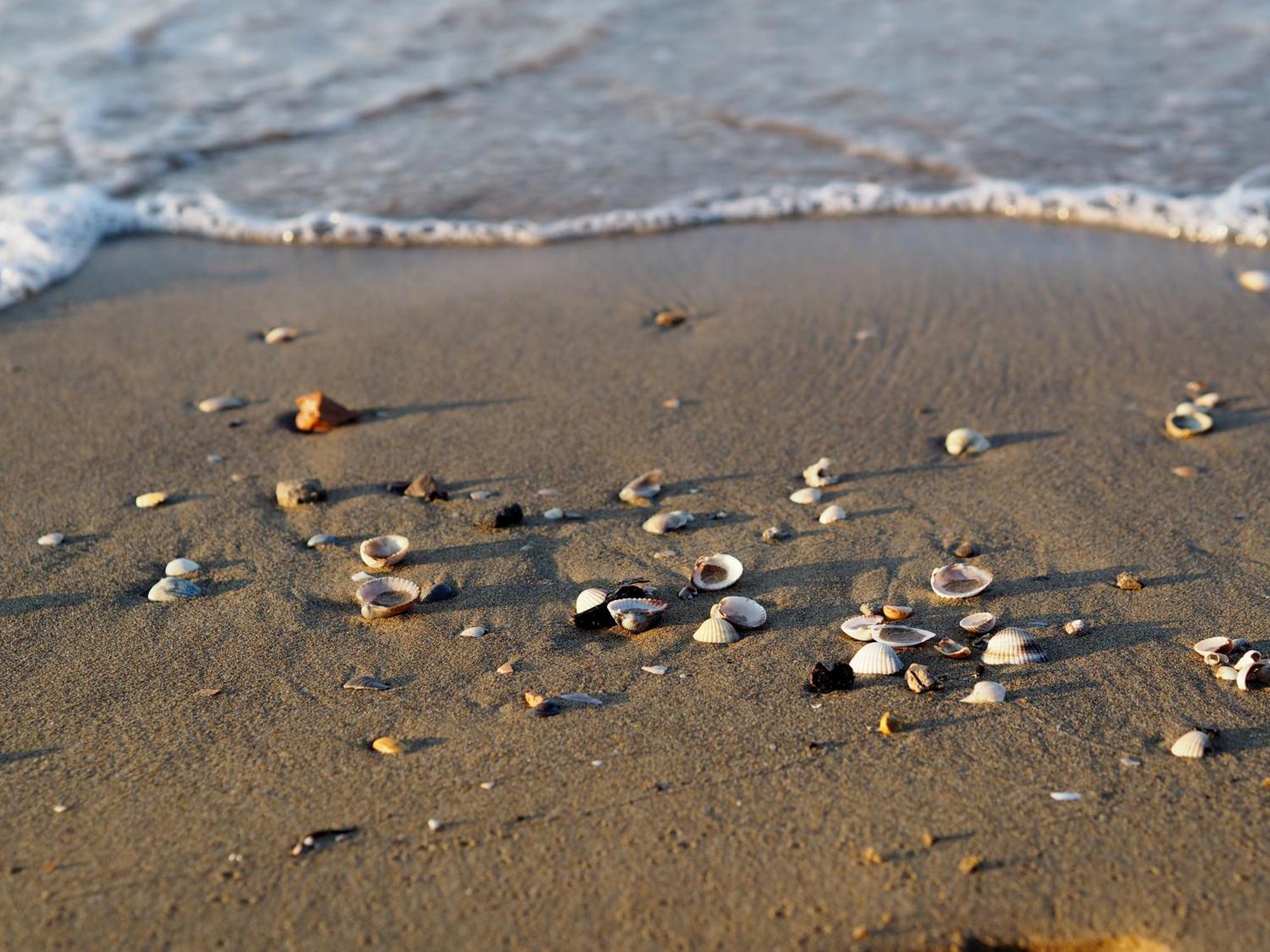 Welcoming Flat For 6 Guests Next To The Beach Μπιμπιόνε Εξωτερικό φωτογραφία