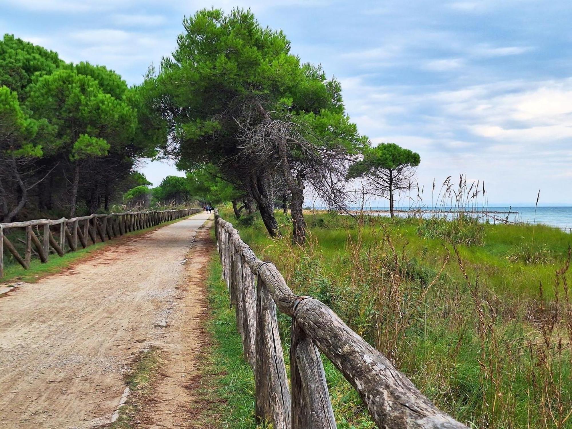 Welcoming Flat For 6 Guests Next To The Beach Μπιμπιόνε Εξωτερικό φωτογραφία